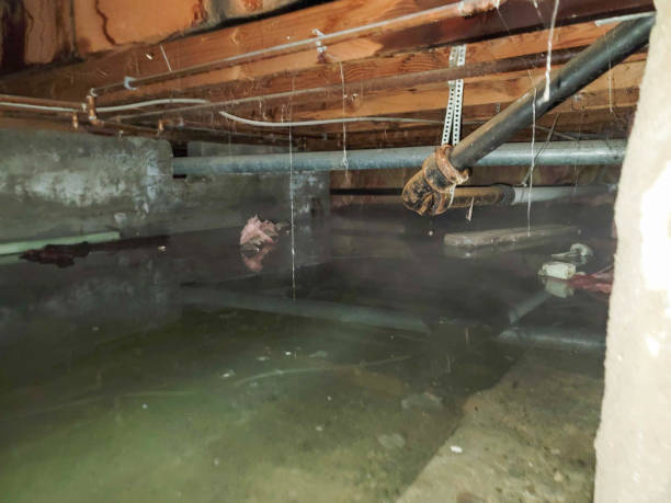 Best Water damage restoration services  in Thiensville, WI