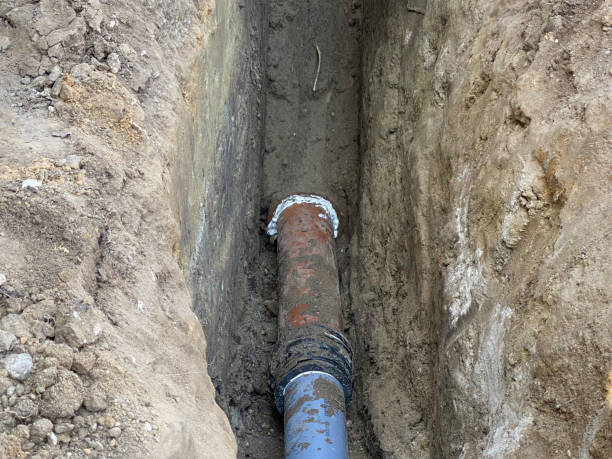 Best Basement water damage restoration  in Thiensville, WI