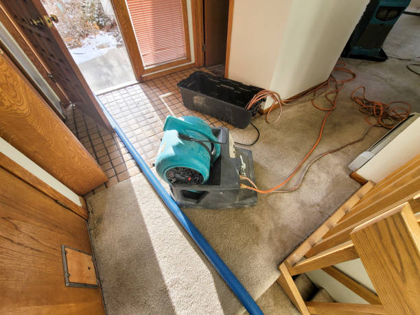 Best Sewage cleanup and water damage restoration  in Thiensville, WI