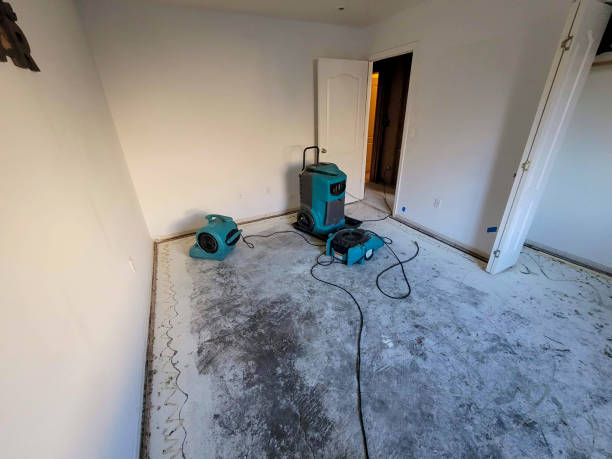 Water damage restoration mold remediation in Thiensville, WI