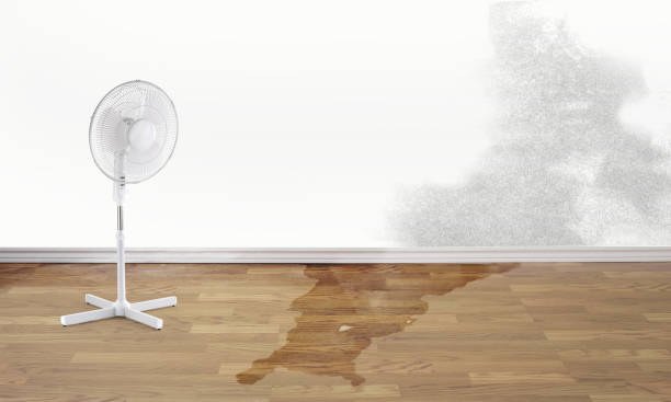 Best Fire Damage Restoration  in Thiensville, WI