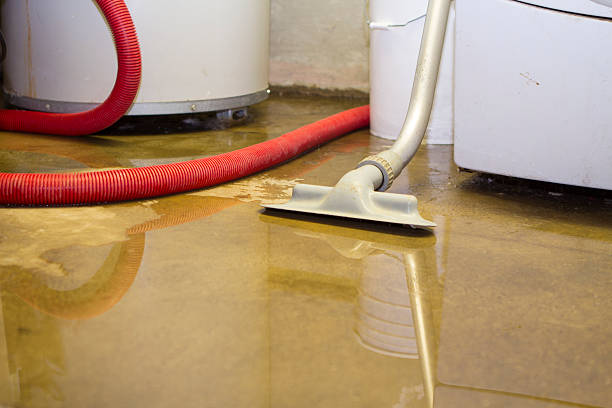 Best Flood restoration services  in Thiensville, WI
