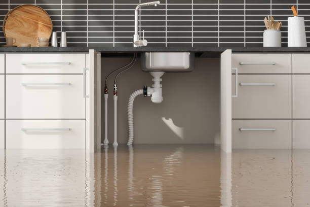Best Carpet water damage restoration  in Thiensville, WI